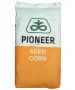 Seminte porumb Pioneer P0412 Aquamax - 80.000 boabe