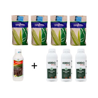 Pachet SMART-MIX 223 Porumb 2.5 Ha – Chorintos, Adengo, Verdomax