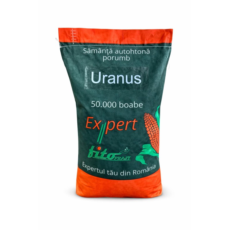Samanta Porumb URANUS, Genetica Fundulea, FAO 300, 50.000 boabe