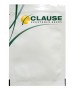 Seminte Castraveti Cornichon REGAL F1 Clause - 10 g