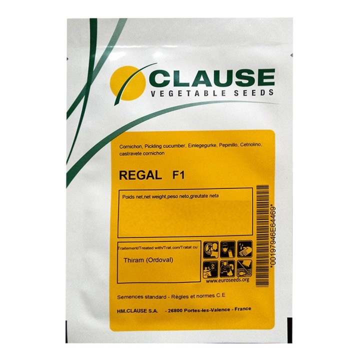 Seminte Castraveti cornichon REGAL F1 Clause, 25 g