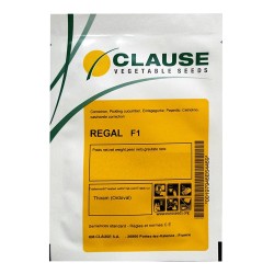 Seminte Castraveti cornichon REGAL F1 Clause - 10 g