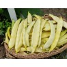 Seminte Fasole oloaga SERPEDOR Clause - 1 Kg, Pastaie lata