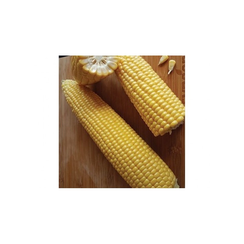 Samanta Porumb zaharat TURBO F1, 5.000 seminte