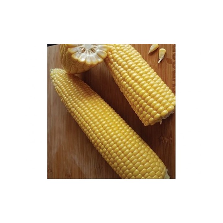 Samanta Porumb zaharat TURBO F1, 5.000 seminte