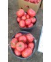 Seminte Tomate APHEN F1 Clause - 1.000 seminte