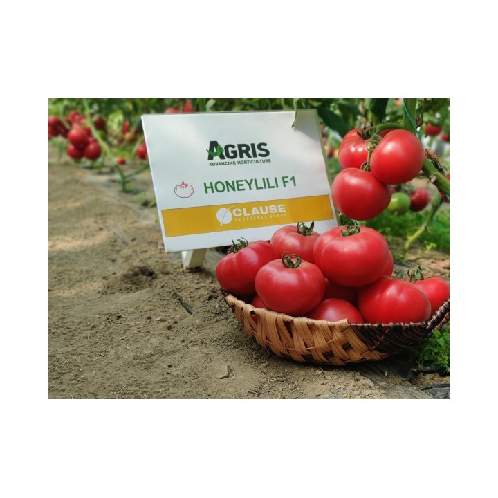 Seminte Tomate HONEY LILI F1 Clause - 250 seminte