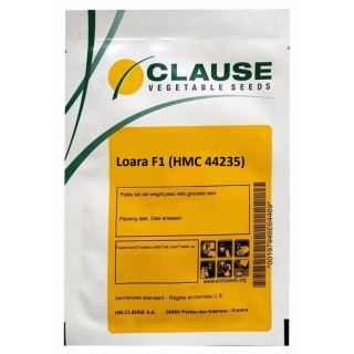 Seminte Tomate LOARA F1 Clause, 1.000 seminte