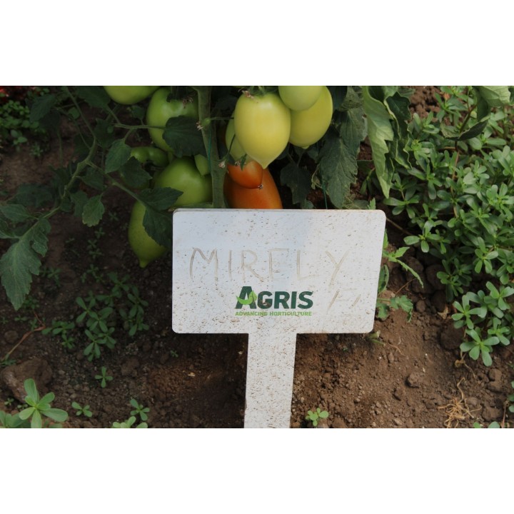 Seminte Tomate MIRELY F1 Clause - 250 seminte