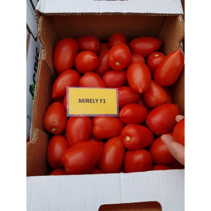 Seminte Tomate MIRELY F1 Clause - 250 seminte