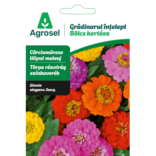 Seminte flori Carciumarese liliput melanj, Agrosel - 2 g
