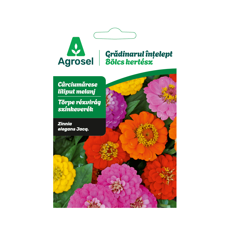 Seminte flori Carciumarese liliput melanj, Agrosel - 2 g