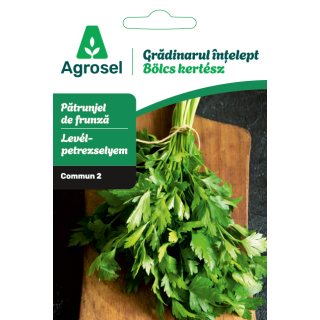 Seminte Patrunjel frunze COMMUN 2/PLAIN LEAVED 2, Agrosel - 3,5 g