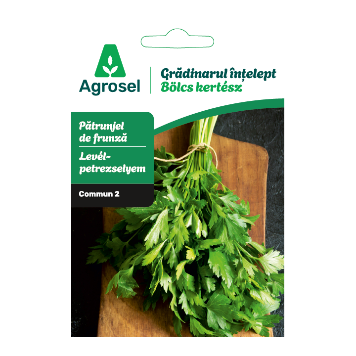 Seminte Patrunjel frunze COMMUN 2/PLAIN LEAVED 2, Agrosel - 3,5 g