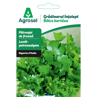 Seminte Patrunjel frunze GIGANTE D’Italia, Agrosel - 3,5 g