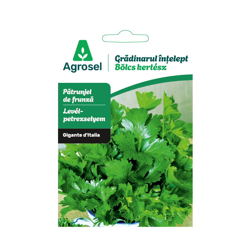 Seminte Patrunjel frunze GIGANTE D’Italia, Agrosel - 3,5 g