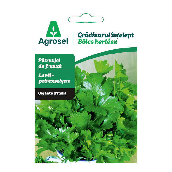 Seminte Patrunjel frunze GIGANTE D’Italia, Agrosel - 3,5 g