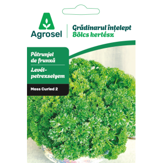 Seminte Patrunjel frunze MOSS CURLED 2, Agrosel - 3,5 g