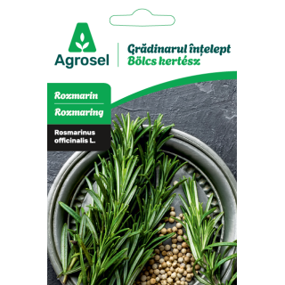 Seminte Rozmarin, Agrosel, Gradinarul intelept - 0,1 g