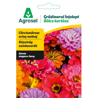 Seminte flori Carciumarese urias melanj, Agrosel - 2 g