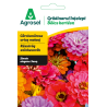 Seminte flori Carciumarese urias melanj, Agrosel, Gradinarul intelept - 2 g