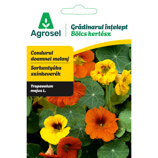 Seminte flori Condurul doamnei, Agrosel, Gradinarul intelept - 3 g