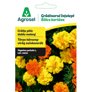 Seminte flori Craite pitic dublu melanj, Agrosel - 0,8 g