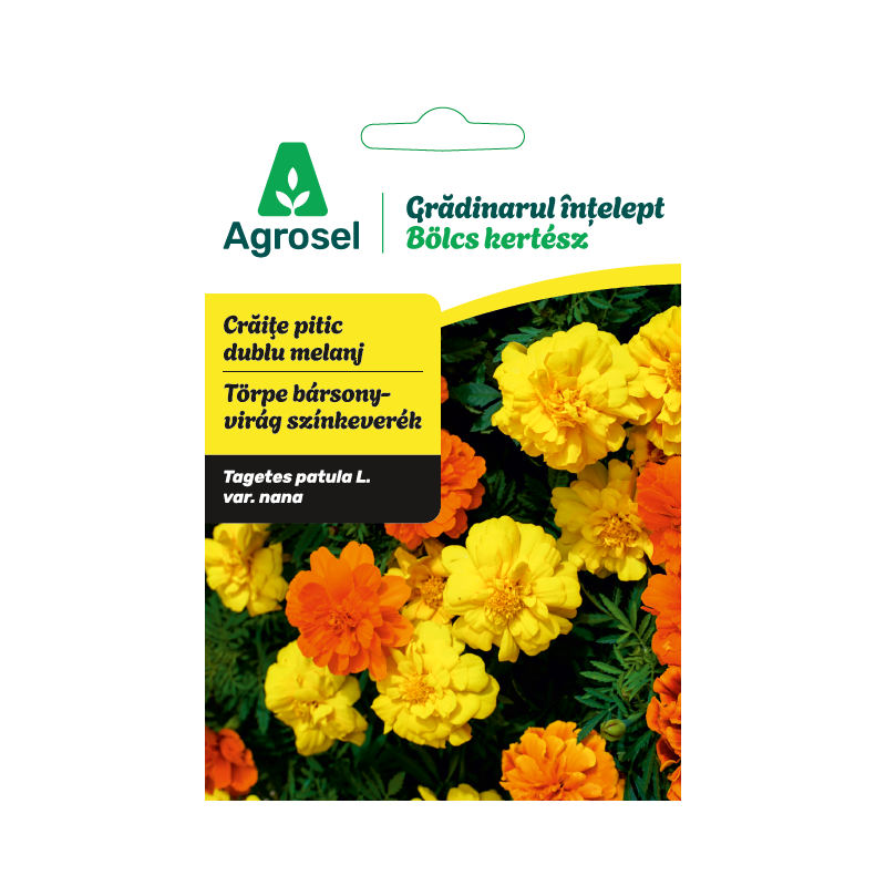 Seminte flori Craite pitic dublu melanj, Agrosel - 0,8 g