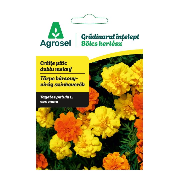 Seminte flori Craite pitic dublu melanj, Agrosel - 0,8 g