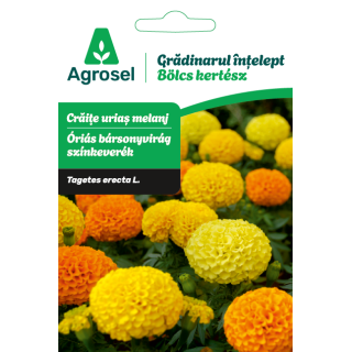 Seminte flori Craite urias melanj, Agrosel - 1,3 g