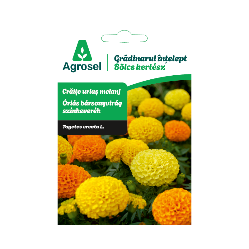 Seminte flori Craite urias melanj, Agrosel - 1,3 g