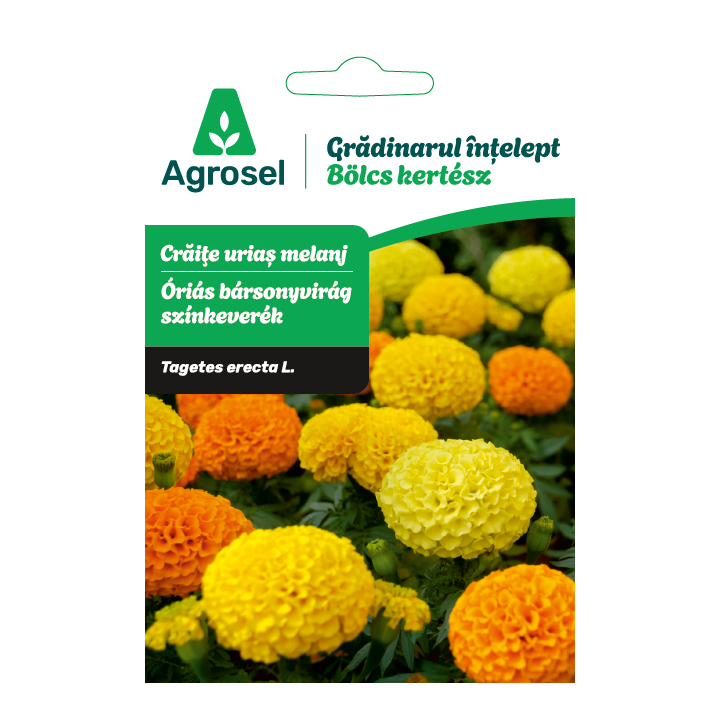 Seminte flori Craite urias melanj, Agrosel - 1,3 g