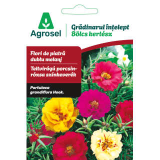 Seminte Flori de piatra dublu melanj, Agrosel - 0,35 g