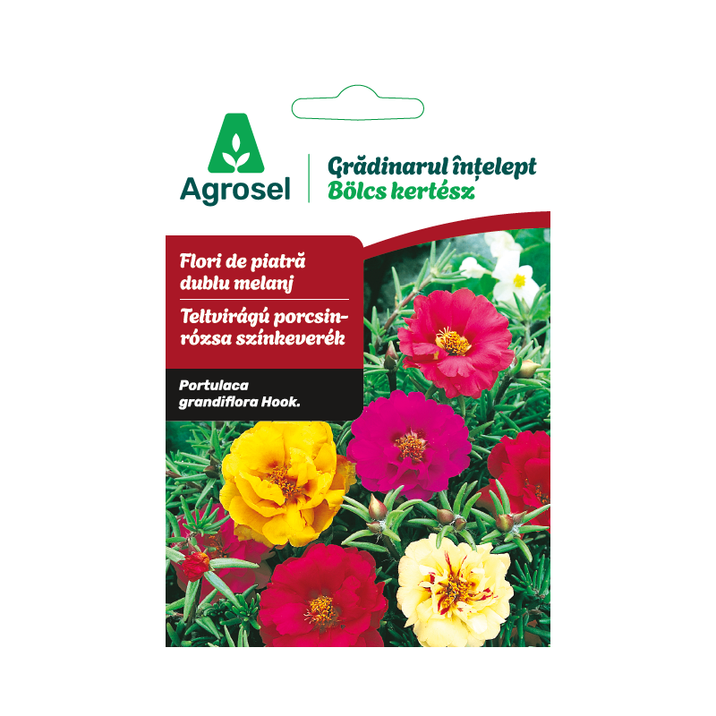 Seminte Flori de piatra dublu melanj, Agrosel - 0,35 g