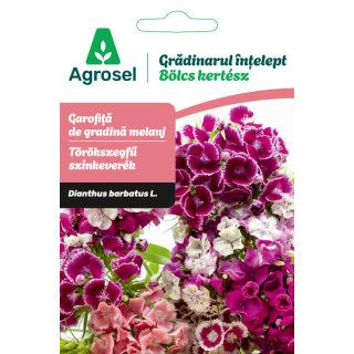 Seminte flori Garofita de gradina melanj, Agrosel - 0,7 g