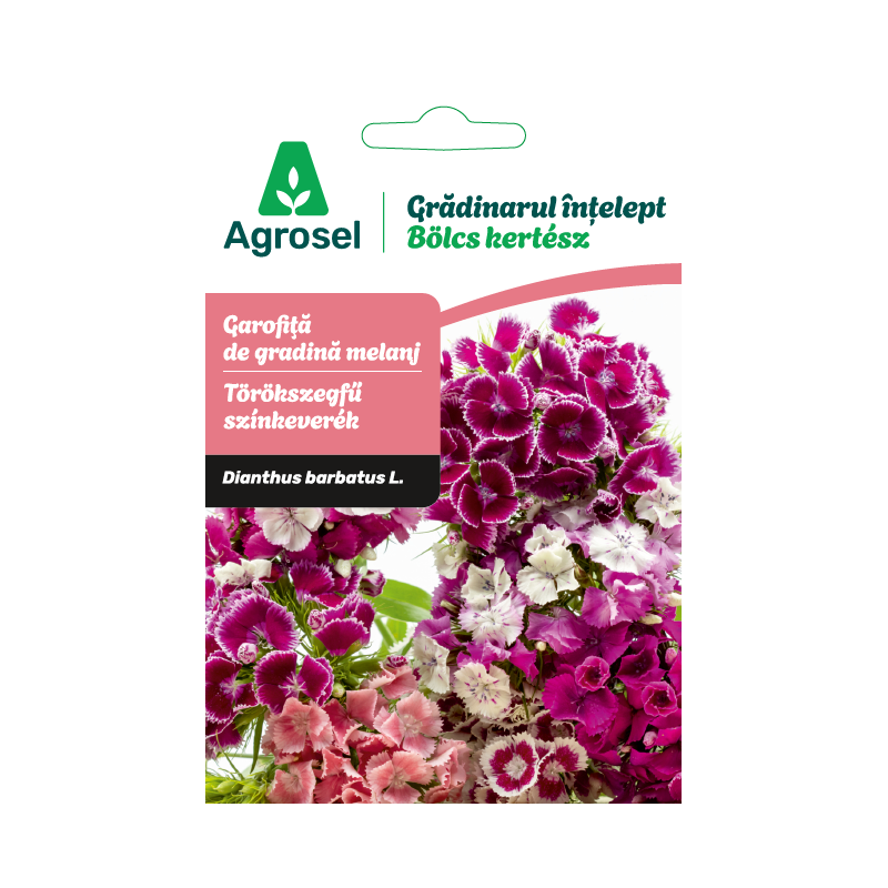 Seminte flori Garofita de gradina melanj, Agrosel - 0,7 g