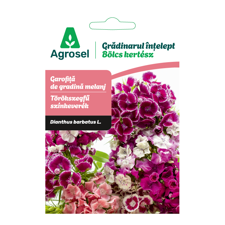 Seminte flori Garofita de gradina melanj, Agrosel - 0,7 g