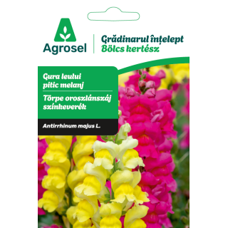 Seminte flori Gura leului pitic melanj, Agrosel - 0,7 g