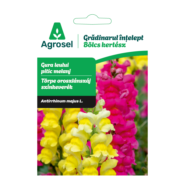 Seminte flori Gura leului pitic melanj, Agrosel - 0,7 g