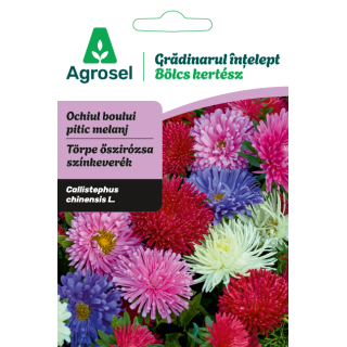 Seminte flori Ochiul boului pitic melanj, Agrosel - 0,7 g