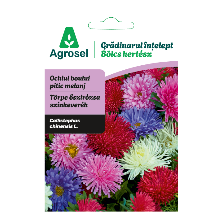 Seminte flori Ochiul boului pitic melanj, Agrosel - 0,7 g