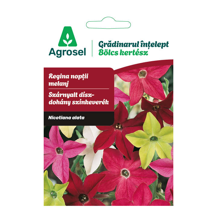 Seminte flori Regina noptii melanj, Agrosel - 0,3 g