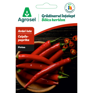 Seminte Ardei iute PINTEA, Agrosel - cca 45 seminte