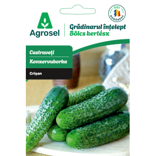 Seminte Castraveti CRISAN, Agrosel, Gradinarul intelept - 1,4 g