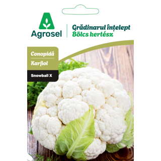 Seminte Conopida SNOWBALL X, Agrosel, Gradinarul intelept - 0,8 g