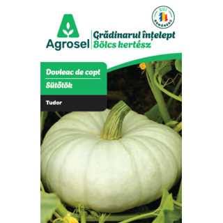 Seminte Dovleac de copt TUDOR, Agrosel, Gradinarul intelept - 3 g