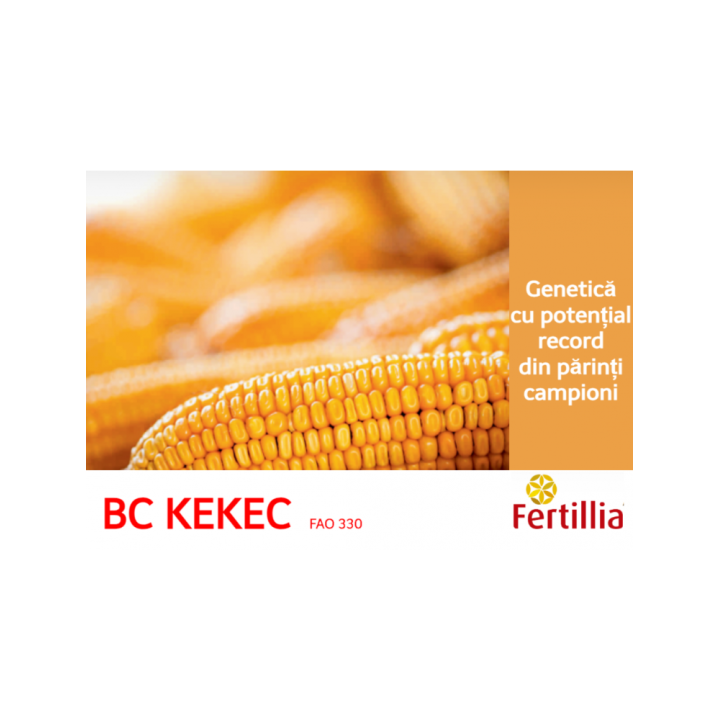 Samanta Porumb BC KEKEC, FAO 330, Fertillia - 25.000 boabe