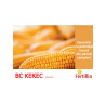 Samanta Porumb BC KEKEC, FAO 330, Fertillia - 25.000 boabe