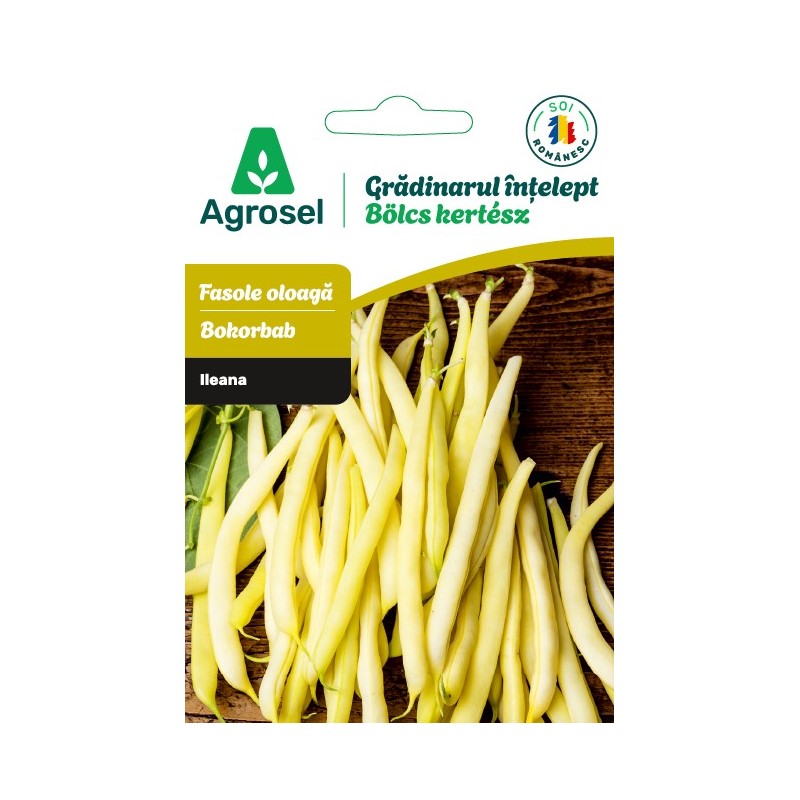 Seminte Fasole ILEANA, Agrosel, Gradinarul intelept - cca 75 seminte