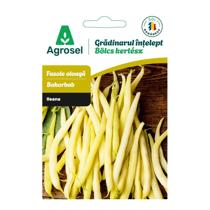 Seminte Fasole ILEANA, Agrosel, Gradinarul intelept - cca 75 seminte